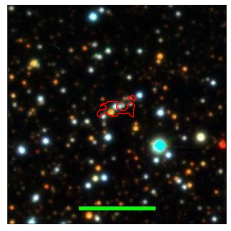 1213_059.1_contour_y