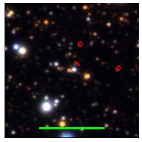 1213_077.0_contour_r