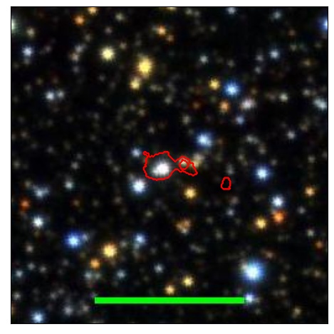 1213_079.0_contour_g