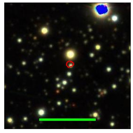 1214_008.0_contour_g