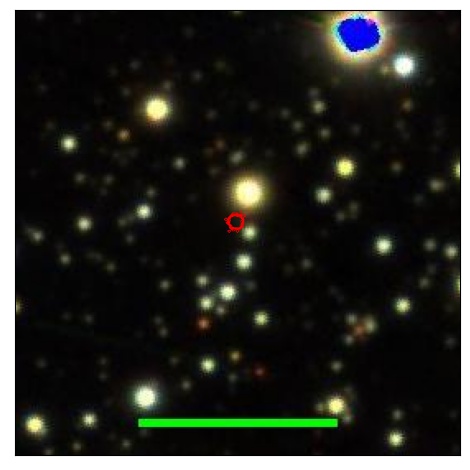 1214_008.0_contour_i