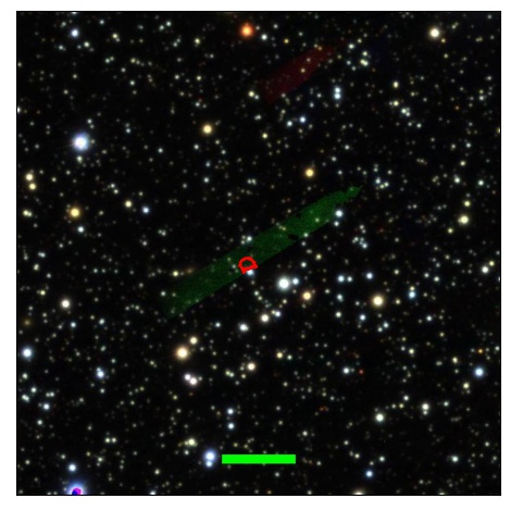 1214_019.0_contour_g