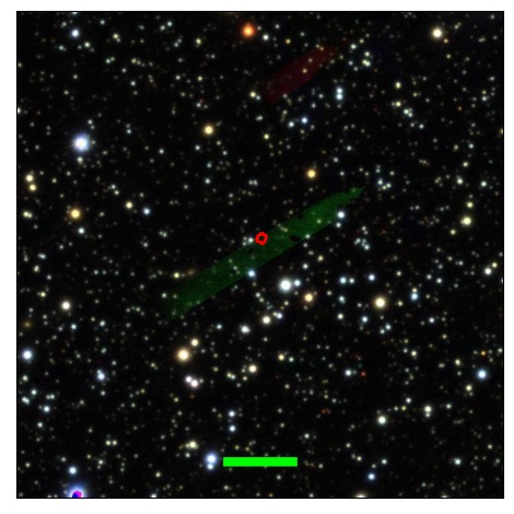 1214_019.0_contour_y