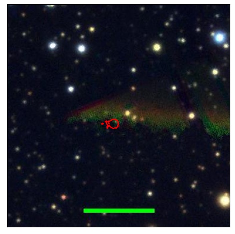 1214_036.0_contour_y