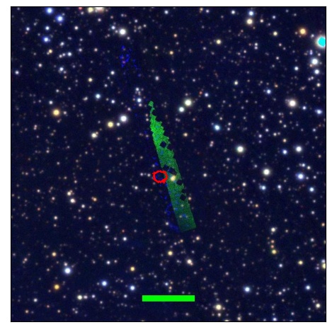 1214_089.0_contour_y