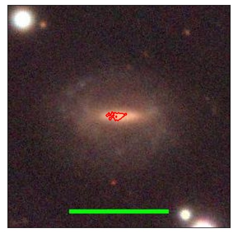 1225_031.0_contour_y