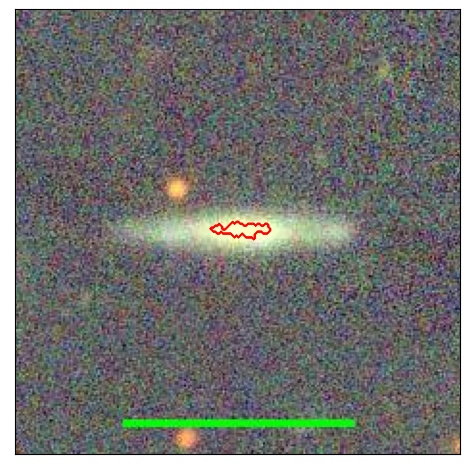 1225_081.0_contour_y