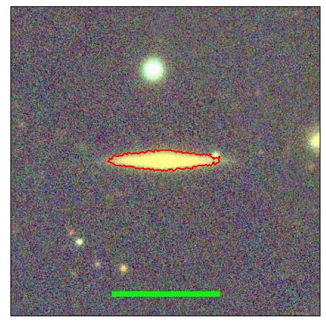 1231_004.1_contour_r