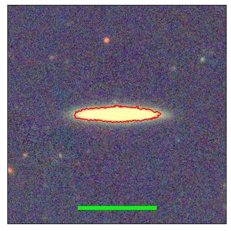 1231_021.0_contour_g