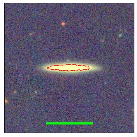 1231_021.0_contour_y