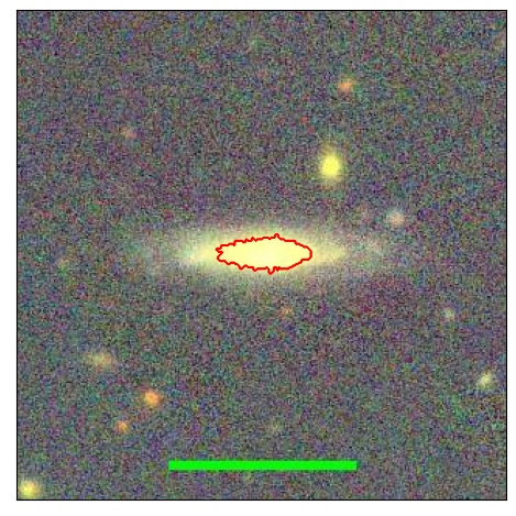 1231_026.0_contour_y