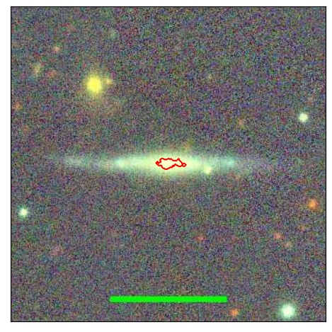 1231_037.1_contour_y