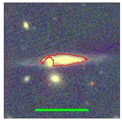 1233_021.0_contour_r