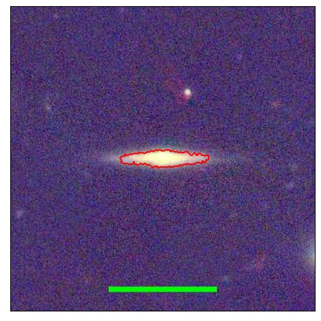 1233_035.1_contour_g