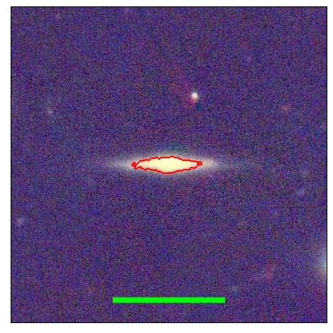 1233_035.1_contour_y