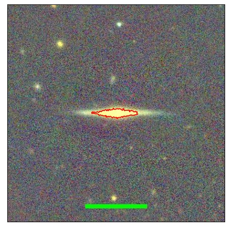 1233_091.1_contour_y