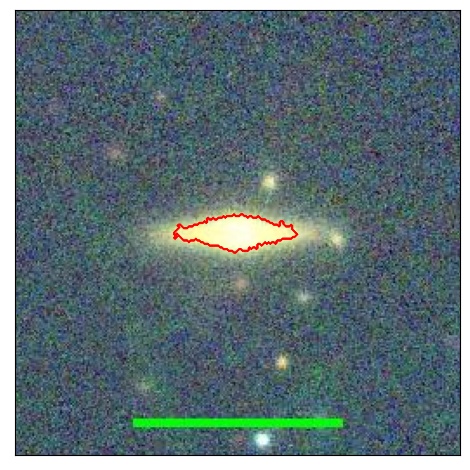 1239_007.0_contour_y