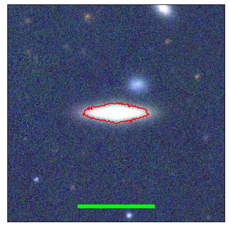 1239_031.0_contour_y