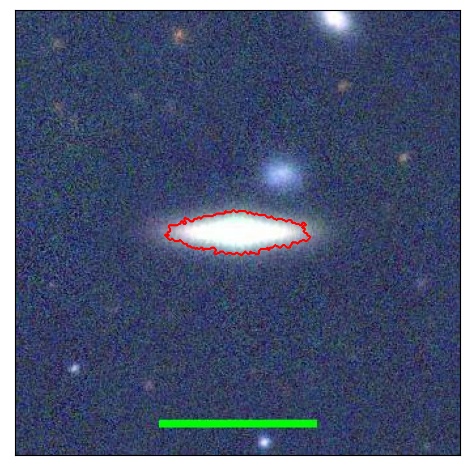 1239_031.0_contour_z