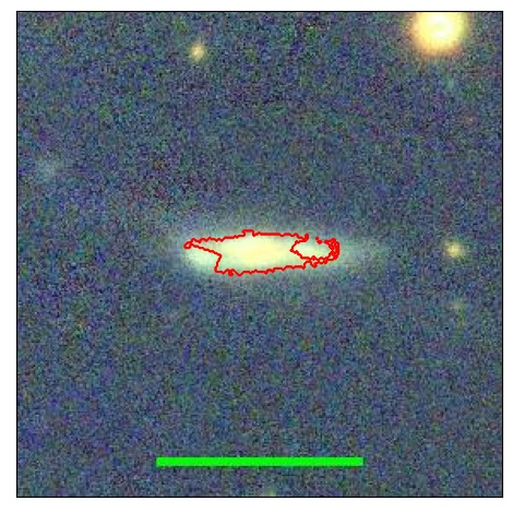 1239_041.0_contour_g