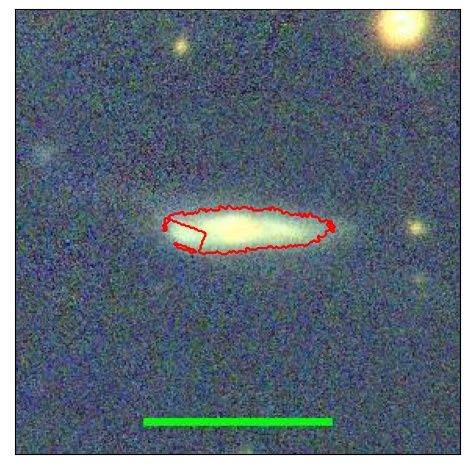 1239_041.0_contour_r