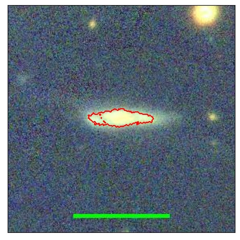 1239_041.0_contour_y