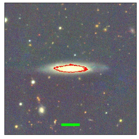 1239_041.1_contour_y