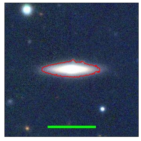 1239_061.0_contour_g