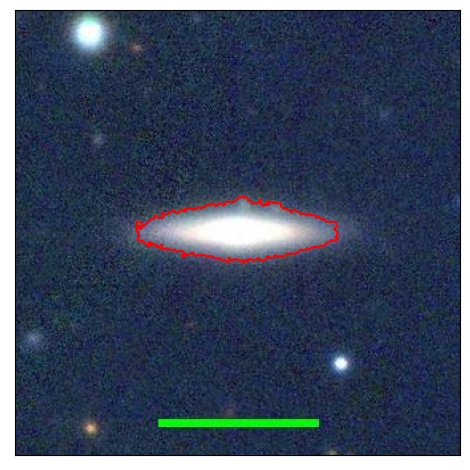 1239_061.0_contour_r