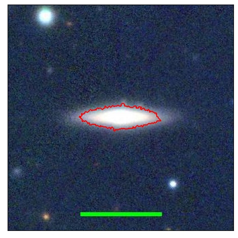 1239_061.0_contour_y