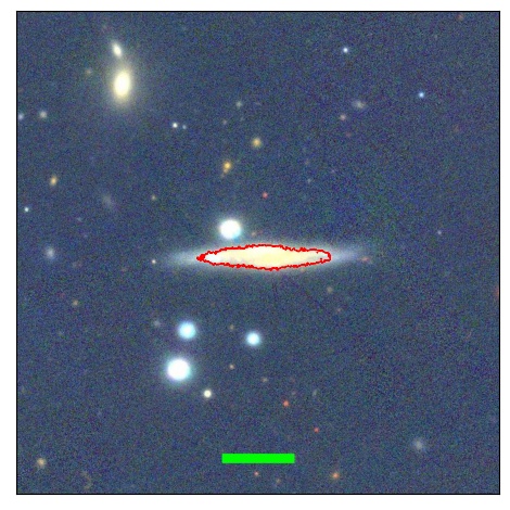 1239_081.0_contour_y