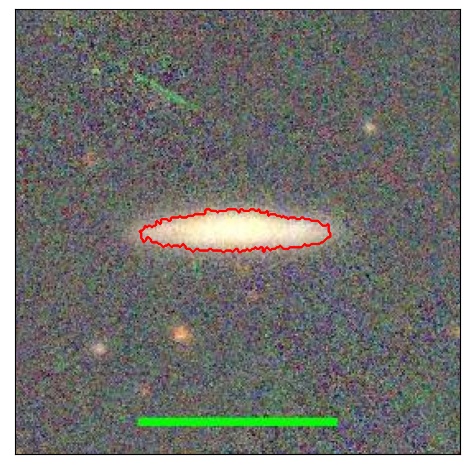 1240_031.1_contour_r