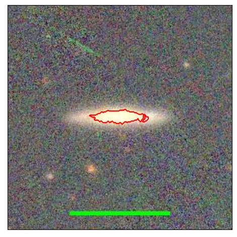 1240_031.1_contour_y