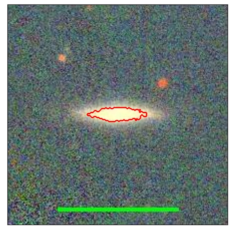 1242_081.0_contour_y