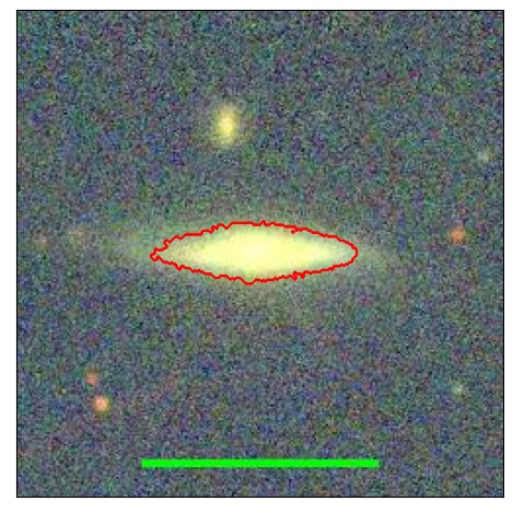 1243_021.0_contour_r