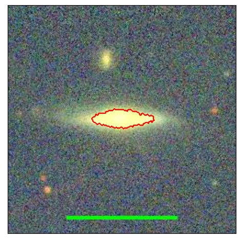 1243_021.0_contour_y