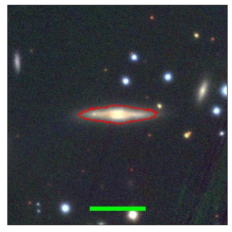 1251_081.0_contour_g