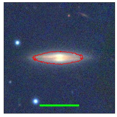 1252_021.0_contour_r