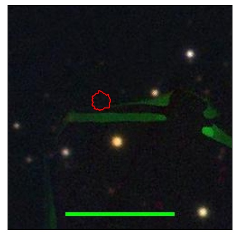 1256_053.0_contour_i