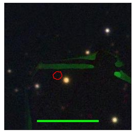 1256_053.0_contour_z