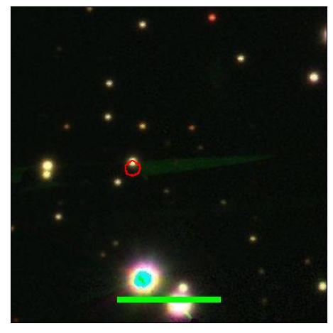 1259_096.1_contour_y