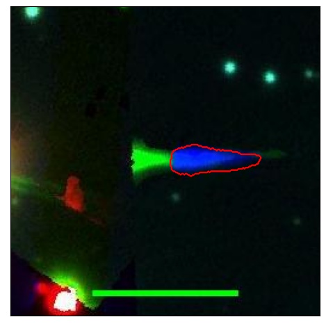 1261_045.0_contour_g