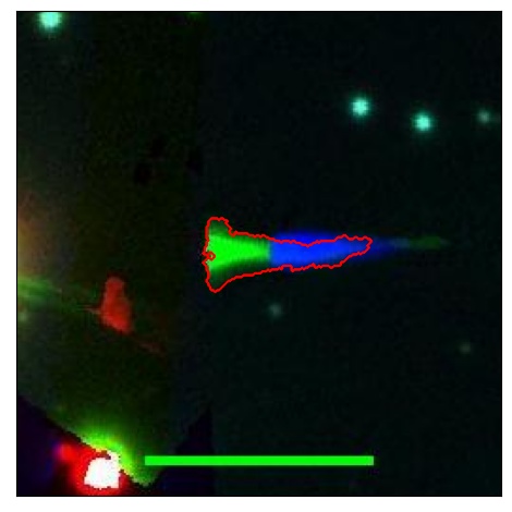 1261_045.0_contour_r