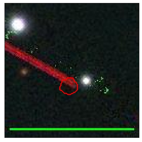 1262_004.0_contour_g