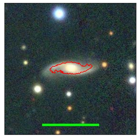 1262_011.1_contour_y