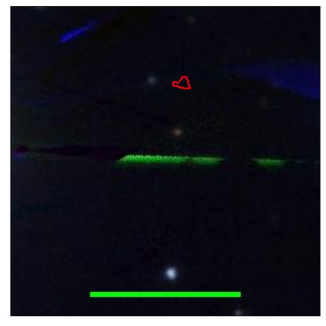 1262_068.0_contour_g