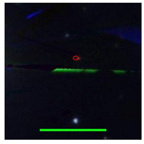 1262_068.0_contour_y