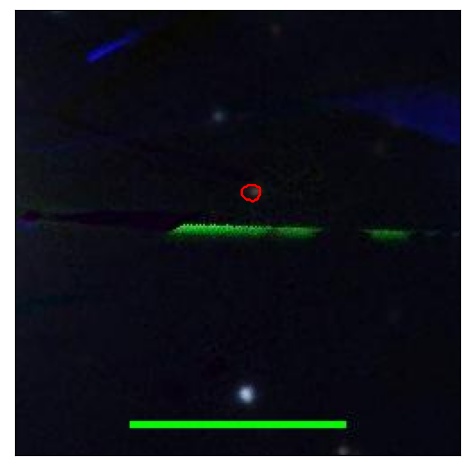 1262_068.0_contour_z