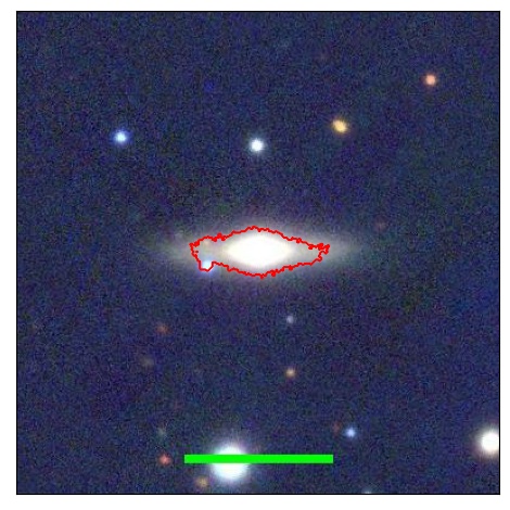 1263_041.0_contour_y