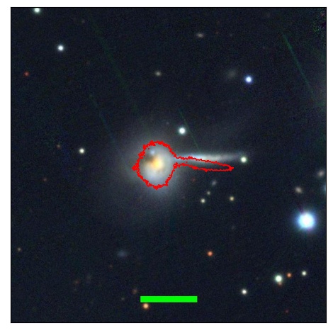 1263_062.0_contour_y